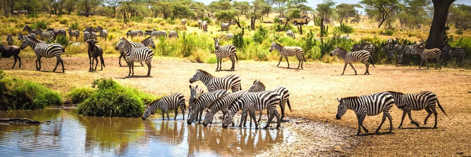 WhatsApp Image 2026-01-22 at 17.23.25 1.webp